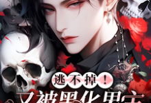 宴清小说完整版《逃不掉！又被黑化男主强制爱》免费阅读-殇情文学