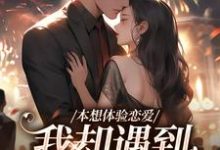 《本想体验恋爱，我却遇到坑爹大佬！》小说盛夏章节章节免费在线阅读-殇情文学