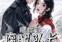 哪里能找到拒婚后,瘸腿队长洗床单小说的全部章节?-殇情文学