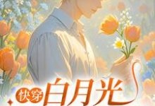 小说《快穿：白月光爆改黑莲花》完整版章节免费阅读-殇情文学