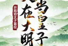 人在大明当皇子,开局劝太子篡位这本小说怎么样?免费在线阅读试试-殇情文学