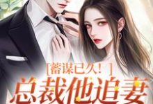 蓄谋已久！总裁他追妻套路为零最新章节，蓄谋已久！总裁他追妻套路为零免费阅读-殇情文学