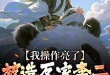 已完结小说《被造反家李二抓住造反?我操作亮了》最新章节-殇情文学