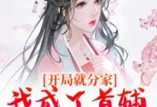 求开局就分家，我成了首辅家的锦鲤妻小说免费资源-殇情文学