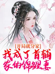 求开局就分家，我成了首辅家的锦鲤妻小说免费资源