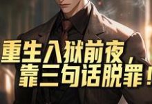 哪里可以免费找到重生入狱前夜,靠三句话脱罪!?-殇情文学