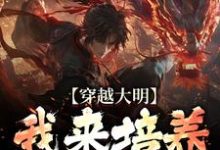 穿越大明：我来培养一代帝王这本小说怎么样？免费在线阅读试试-殇情文学