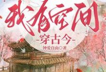 长姐换亲，随便！我有空间穿古今高影儿，长姐换亲，随便！我有空间穿古今小说免费阅读-殇情文学