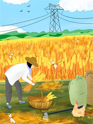 姜宁白鸢完整版《校花学姐竟是我的合租室友》小说免费阅读