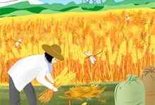 柳语彤小说重生团宠：大小姐今天开始洗白在线阅读章节-殇情文学