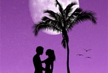 陛下别慌，你的皇后我来当！小说完结了吗？在哪里可以免费读到？-殇情文学