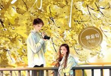 已完结小说《东风尽处与君逢》章节在线阅读-殇情文学